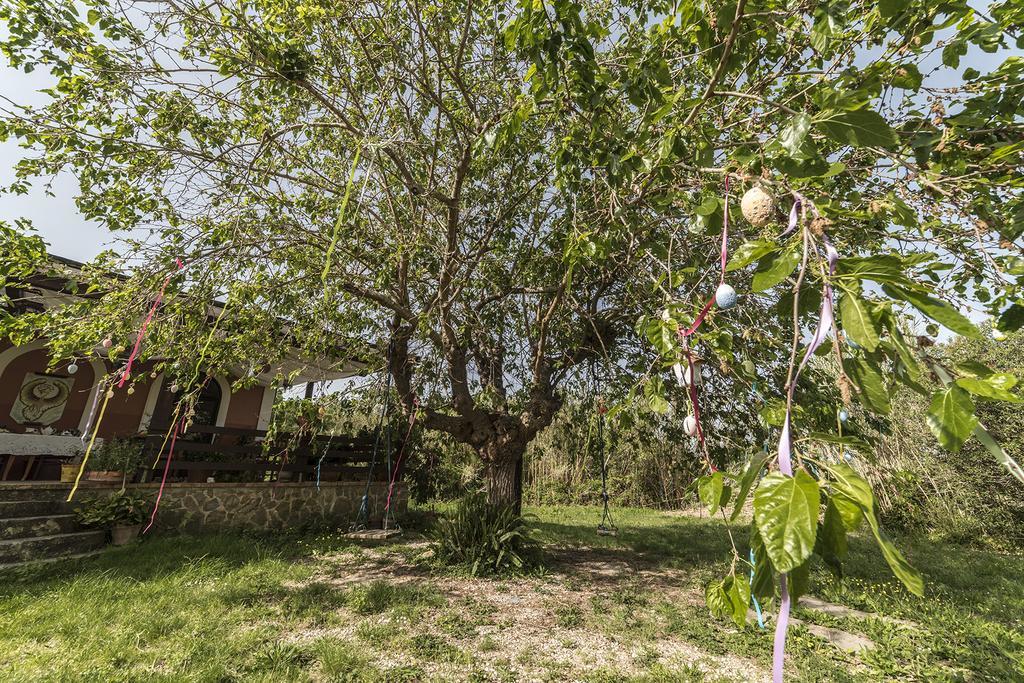 Country House Araba Phoenix Castellabate Zewnętrze zdjęcie